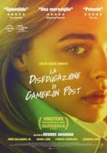ico - The Miseducation of Cameron Post