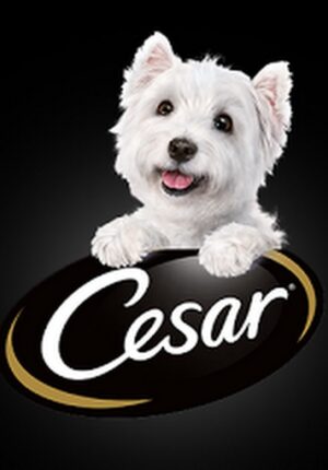 ico - Cesar